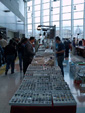GMM. FIPAL. II Feria de Fósiles, Minerales y Malacología. Alcoy