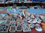 GMM. FIPAL. II Feria de Fósiles, Minerales y Malacología. Alcoy
