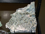 GMM. FIPAL. II Feria de Fósiles, Minerales y Malacología. Alcoy