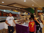 GMA.  Naturalia 2010. Elche