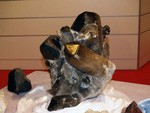 GMA.  Naturalia 2010. Elche