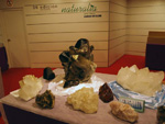 GMA.  Naturalia 2010. Elche