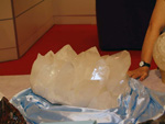 GMA.  Naturalia 2010. Elche