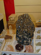 GMA.  Naturalia 2010. Elche