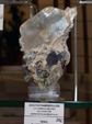 GMA.  Naturalia 2010. Elche