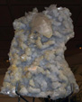 GMA.  Naturalia 2010. Elche