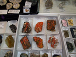 GMA.  Naturalia 2010. Elche