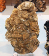 GMA.  Naturalia 2010. Elche