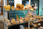 GMA. XIV Feria de Minerales y Fósiles de la Unión