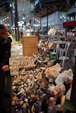 GMA. XIV Feria de Minerales y Fósiles de la Unión