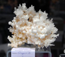 GMA. XIV Feria de Minerales y Fósiles de la Unión