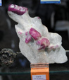 GMA. XIV Feria de Minerales y Fósiles de la Unión