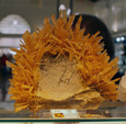 GMA. XV Feria de Minerales y Fósiles de la Unión
