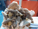 GMA. 5ª Feria de Fósiles, Minerales y Malacología de Alcoy