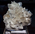 GMA. 5ª Feria de Fósiles, Minerales y Malacología de Alcoy