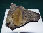 GMA. 5ª Feria de Fósiles, Minerales y Malacología de Alcoy