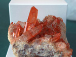 GMA. 5ª Feria de Fósiles, Minerales y Malacología de Alcoy