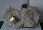 GMA. 5ª Feria de Fósiles, Minerales y Malacología de Alcoy