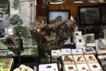 GMA. XXXII Expominerales. Certamen de Minerales, Fósiles y Gemas de Madrid