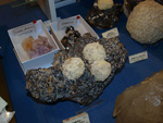 GMA. XVI Feria de Minerales y Fósiles de la Unión