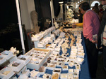 GMA. XVI Feria de Minerales y Fósiles de la Unión