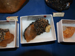 GMA. XVI Feria de Minerales y Fósiles de la Unión