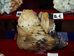 GMA. XVI Feria de Minerales y Fósiles de la Unión
