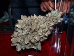 GMA. XVI Feria de Minerales y Fósiles de la Unión