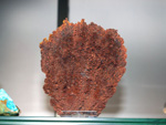 GMA. XVI Feria de Minerales y Fósiles de la Unión