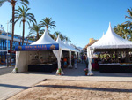 FEM. II Feria de Minerales, Fósiles y Gemas Mineralia el Campello