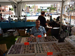 FEM. II Feria de Minerales, Fósiles y Gemas Mineralia el Campello