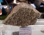 FEM. II Feria de Minerales, Fósiles y Gemas Mineralia el Campello