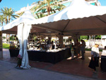 FEM. II Feria de Minerales, Fósiles y Gemas Mineralia el Campello
