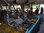 FEM. II Feria de Minerales, Fósiles y Gemas Mineralia el Campello