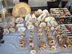 FEM. II Feria de Minerales, Fósiles y Gemas Mineralia el Campello