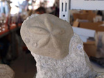 FEM. II Feria de Minerales, Fósiles y Gemas Mineralia el Campello