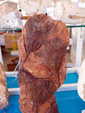 FEM. II Feria de Minerales, Fósiles y Gemas Mineralia el Campello