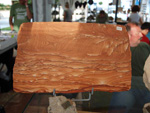 FEM. II Feria de Minerales, Fósiles y Gemas Mineralia el Campello