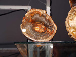 FEM. II Feria de Minerales, Fósiles y Gemas Mineralia el Campello