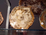 FEM. II Feria de Minerales, Fósiles y Gemas Mineralia el Campello