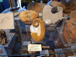 FEM. II Feria de Minerales, Fósiles y Gemas Mineralia el Campello