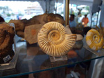 FEM. II Feria de Minerales, Fósiles y Gemas Mineralia el Campello