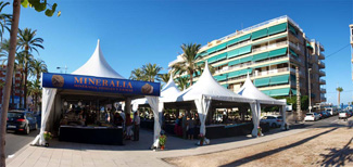 FEM. II Feria de Minerales, Fósiles y Gemas Mineralia el Campello