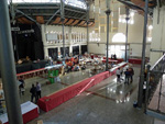 FEM. XVII Feria de Minerales y Fósiles. La Unión