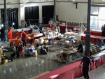 FEM. XVII Feria de Minerales y Fósiles. La Unión