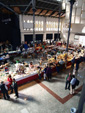 FEM. XVII Feria de Minerales y Fósiles. La Unión
