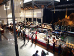 FEM. XVII Feria de Minerales y Fósiles. La Unión