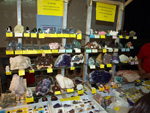 FEM. XVII Feria de Minerales y Fósiles. La Unión