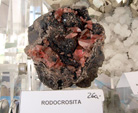 GMA. III Feria de Minerales, Fósiles y Gemas Mineralia el Campello