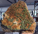 GMA. III Feria de Minerales, Fósiles y Gemas Mineralia el Campello